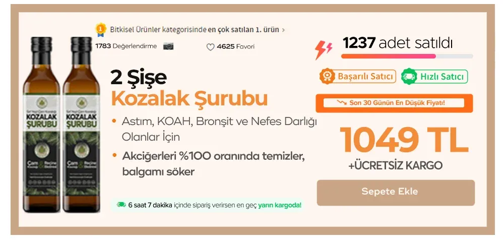 2 Şişe Kozalak Şurubu
